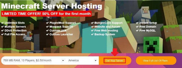 Minecraft Server hosting from 2.45$/month
