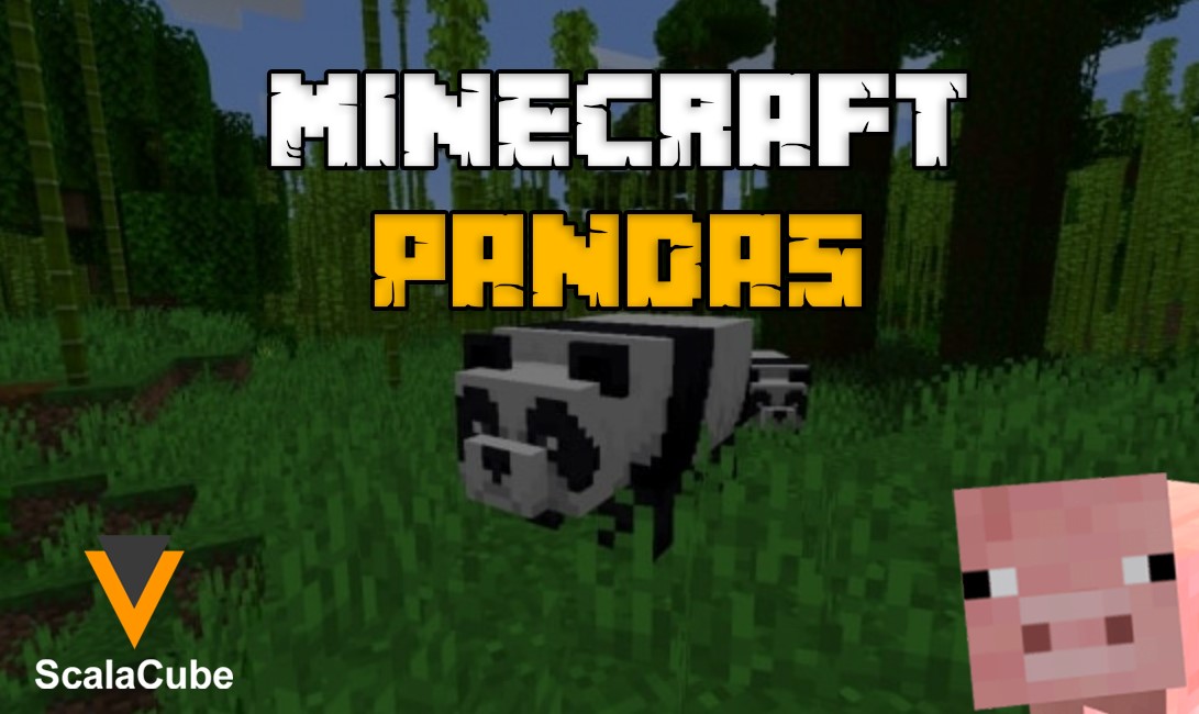Panda in Minecraft - Scalacube